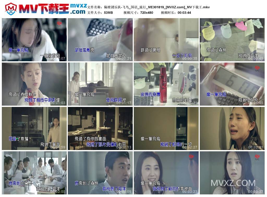 隔壁团乐队-飞鸟_国语_流行_ME301819